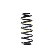 NAPA Rear Suspension Coil Spring NCS1850