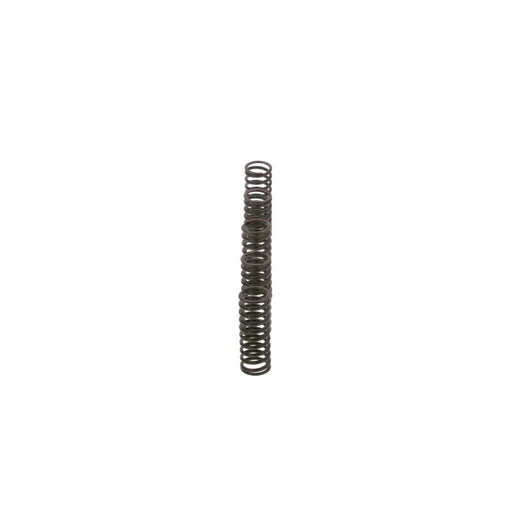 Bosch Compression Spring 2 444 617 010