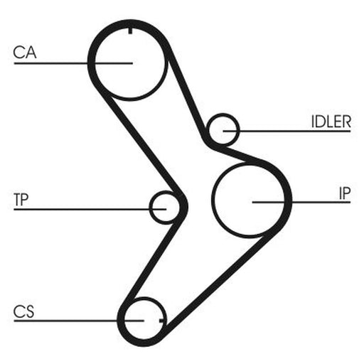 Continental CTAM Timing Belt Cambelt 152 Teeth CT731