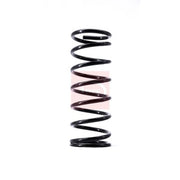 Apec Front Right Suspension Coil Spring ACS1483