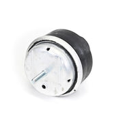 Delphi Engine Mount Mounting Left TEM239