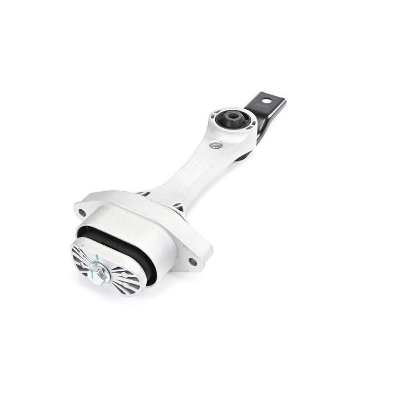 Delphi Engine Mount Mounting Rear TEM260