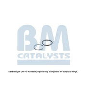 BM Catalysts Exhaust Pipe Mounting Kit FK50524A