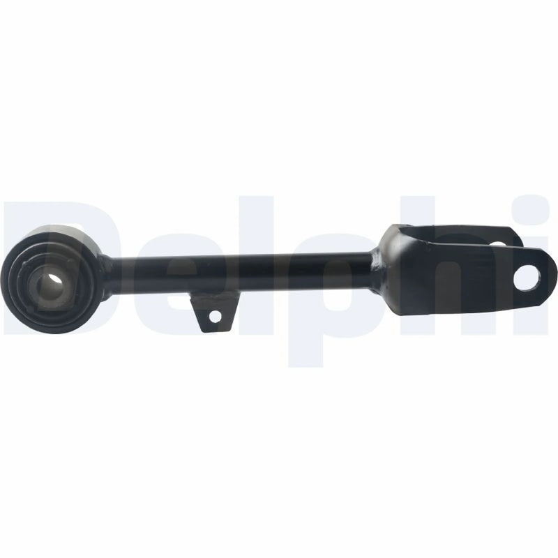 Delphi Control/Trailing Arm Rear TC4595