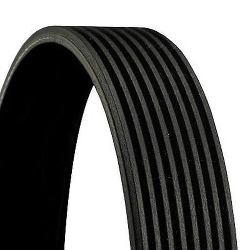 Continental CTAM Multi V-Ribbed Drive Belt 8PK1660