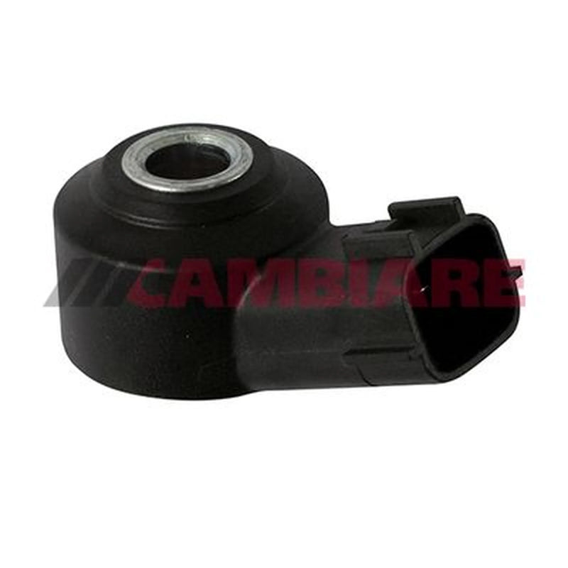 Cambiare Engine Knock Sensor VE369151