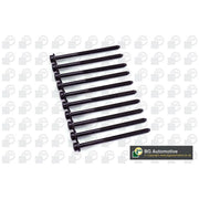 BGA Cylinder Head Bolt Set M9 BK4301