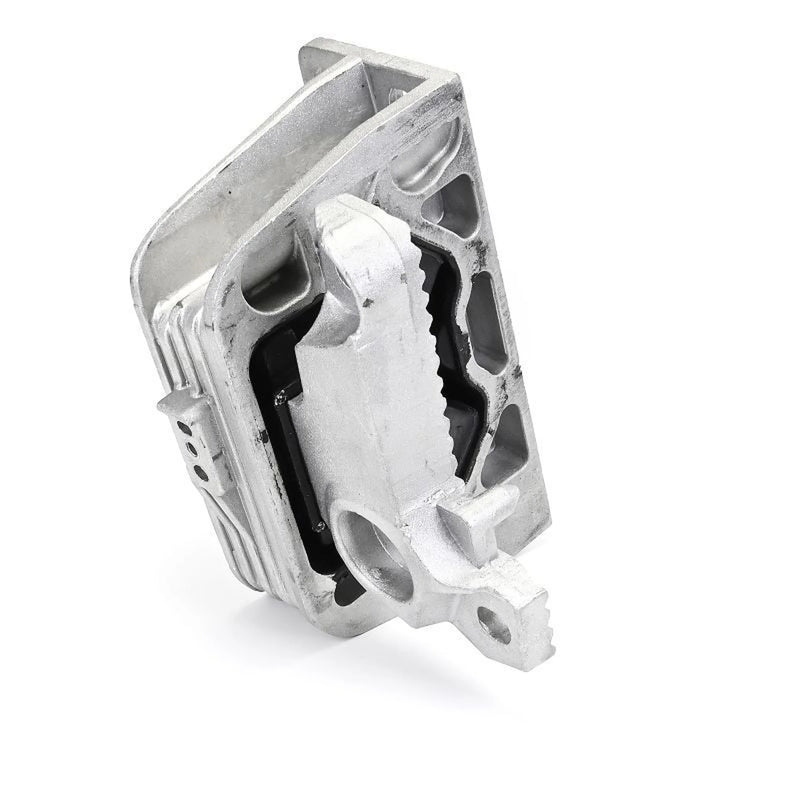 Delphi Engine Mount Mounting Right TEM293