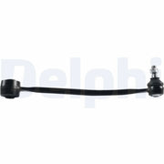 Delphi Control/Trailing Arm Rear TC3772