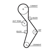 Gates Timing Belt Cambelt 148 Teeth 5604XS