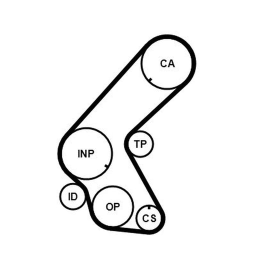 Continental CTAM Timing Belt Kit with Rollers CT1014K3