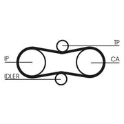 Continental CTAM Timing Belt Kit with Rollers CT914K1