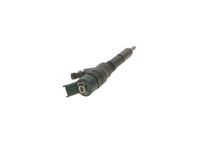 Bosch 0445110076 Injector Nozzle