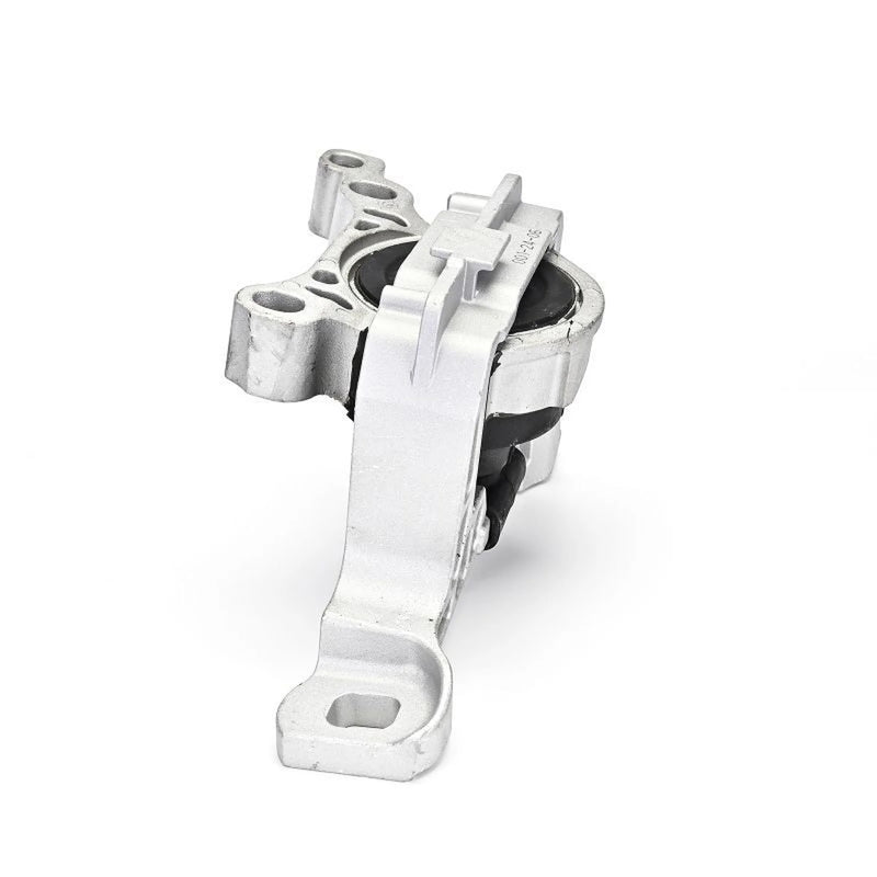 Delphi Engine Mount Mounting Right TEM137