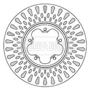 Borg & Beck 2 x Front Brake Discs BBD6066S-x2