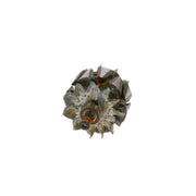 Bosch Alternator Rotor F 00M 131 728