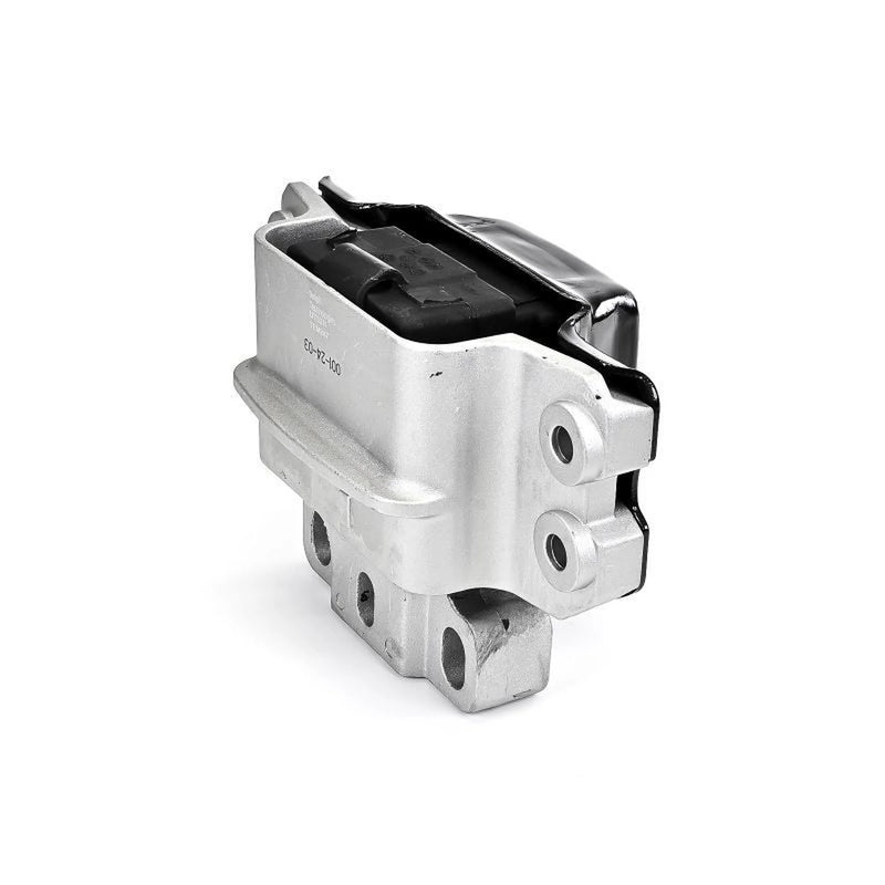 Delphi Engine Mount Mounting Left TEM247