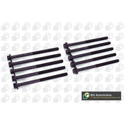 BGA Cylinder Head Bolt Set M11 BK4349