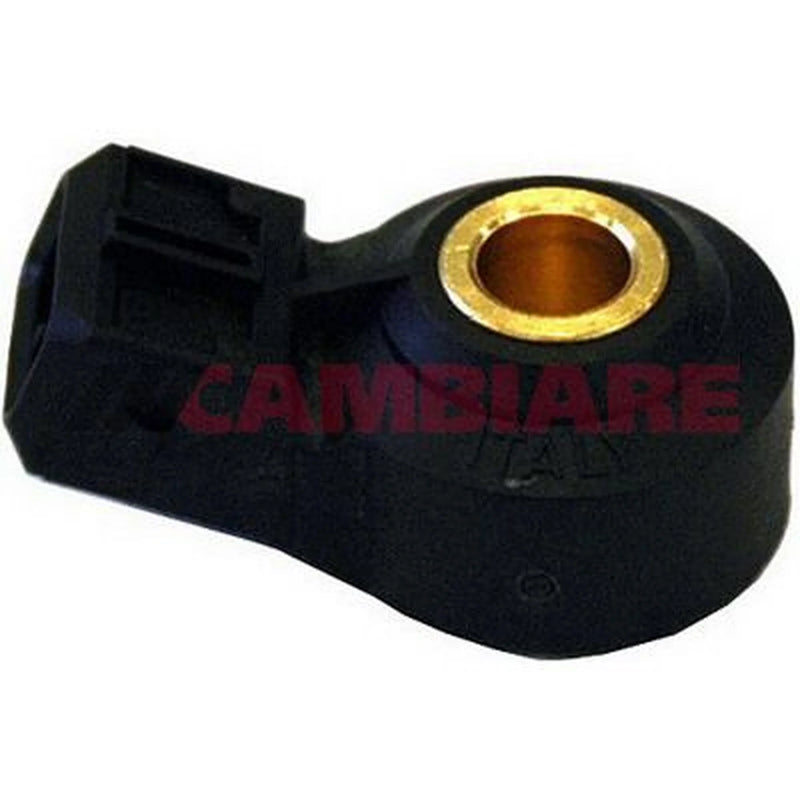 Cambiare Engine Knock Sensor VE369152