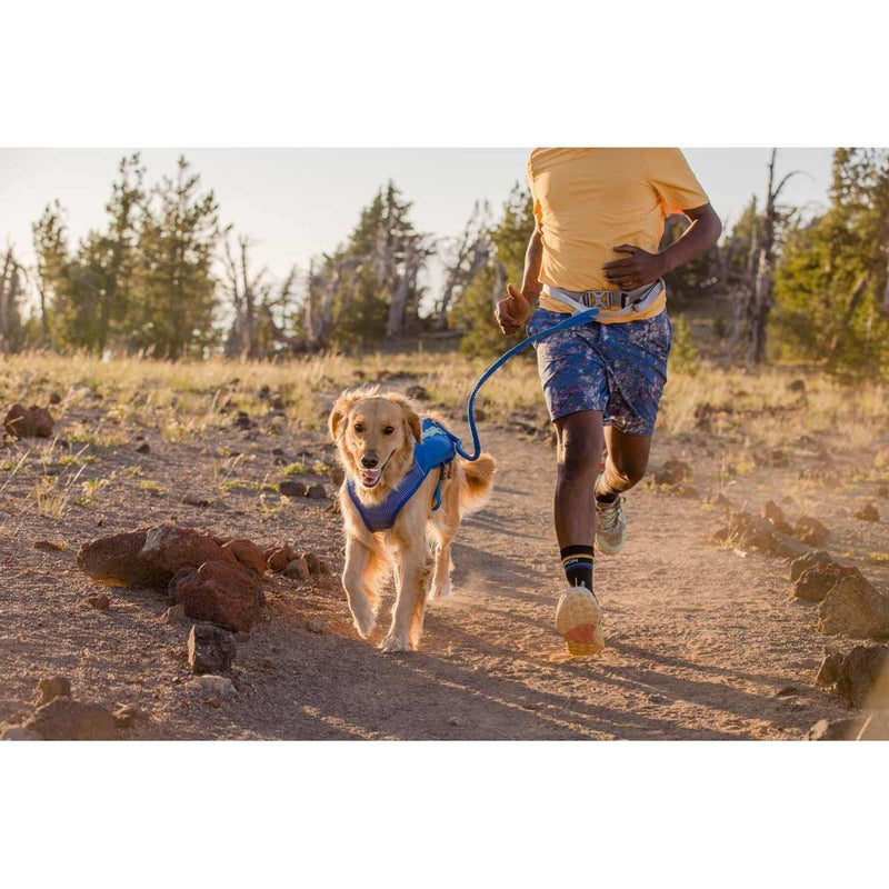 Ruffwear Trail Runner Belt in Blue Pool (L / XL) - Ruffwear - Van Life Living
