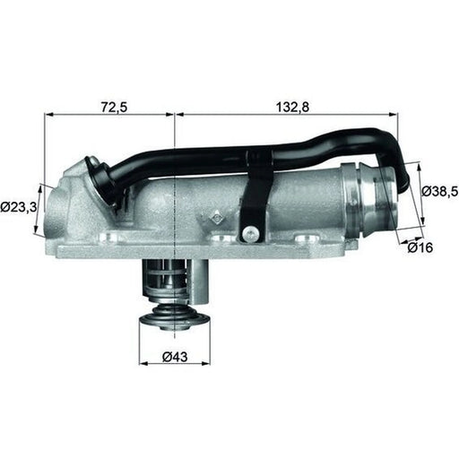 Mahle Thermostat,Coolant TM 8 105