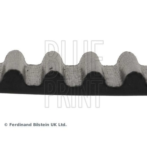 Blue Print Timing Belt Cambelt 201 Teeth ADA107501