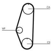 Continental CTAM Timing Belt Cambelt 128 Teeth CT629