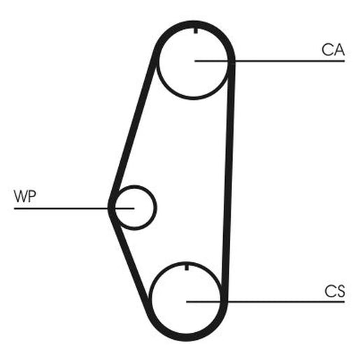 Continental CTAM Timing Belt Cambelt 128 Teeth CT629
