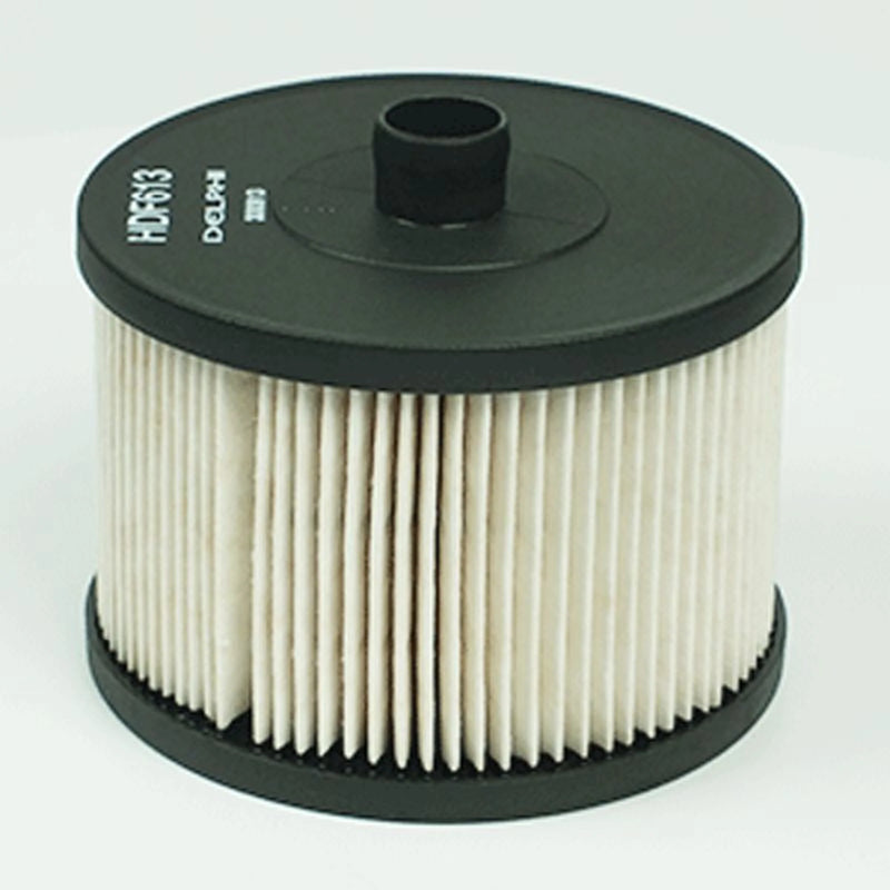Delphi Fuel Filter Element HDF613
