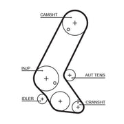 Gates Timing Belt Cambelt 129 Teeth 5595XS