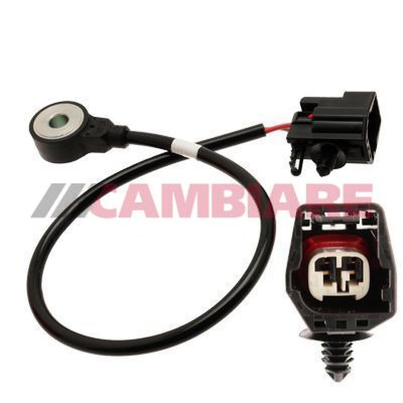 Cambiare Engine Knock Sensor VE369043