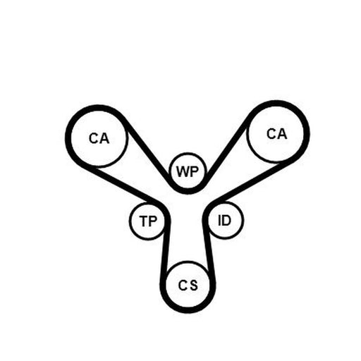 Continental CTAM Timing Belt Cambelt 197 Teeth CT1087