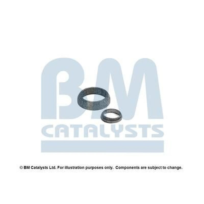 BM Catalysts Fitting Kit FK92675A FK92675A