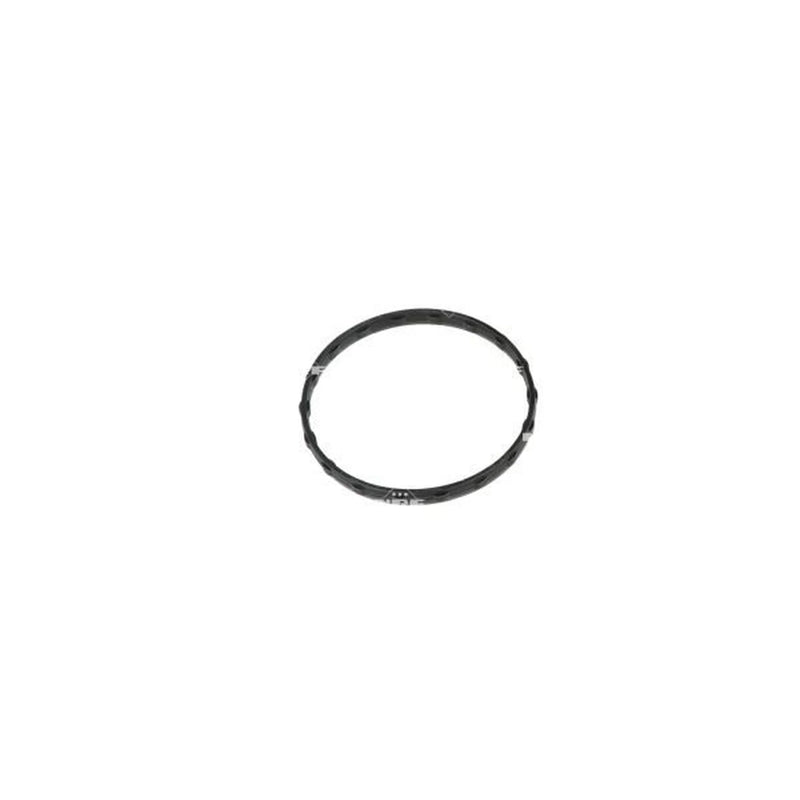NRF Thermostat,Coolant 725043