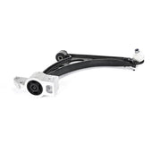 Delphi Control/Trailing Arm Lower TC4363