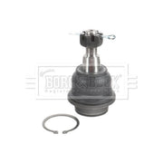 Borg & Beck Ball Joint Lower BBJ5671