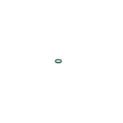 Bosch Sealing Ring Gasket 1 260 210 889
