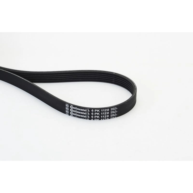 Continental CTAM Multi V-Ribbed Drive Belt 6PK1120