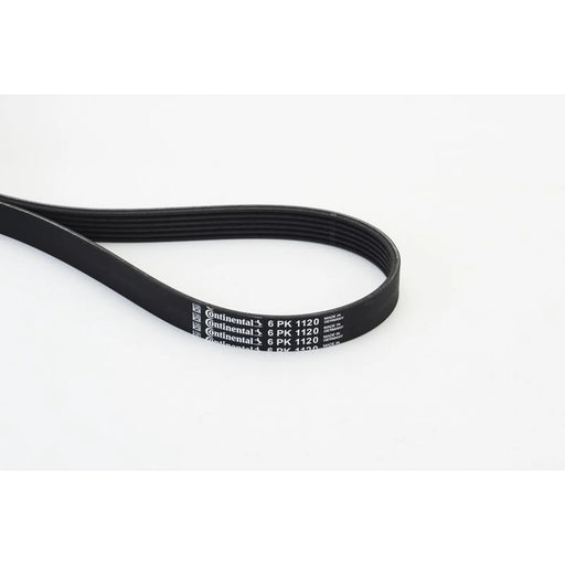 Continental CTAM Multi V-Ribbed Drive Belt 6PK1120