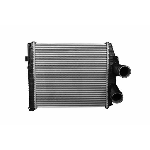 Hella Intercooler (Charge Air Cooler) 8ML 366 340-131