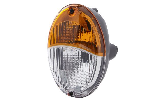 Hella Direction Indicator Light 2BE 343 130-001