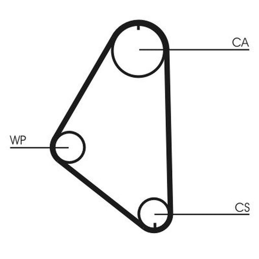 Continental CTAM Timing Belt Cambelt 104 Teeth CT558