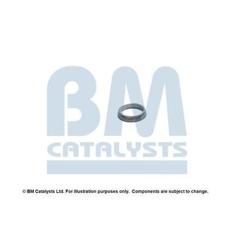 BM Catalysts Fitting Kit FK92879A FK92879A