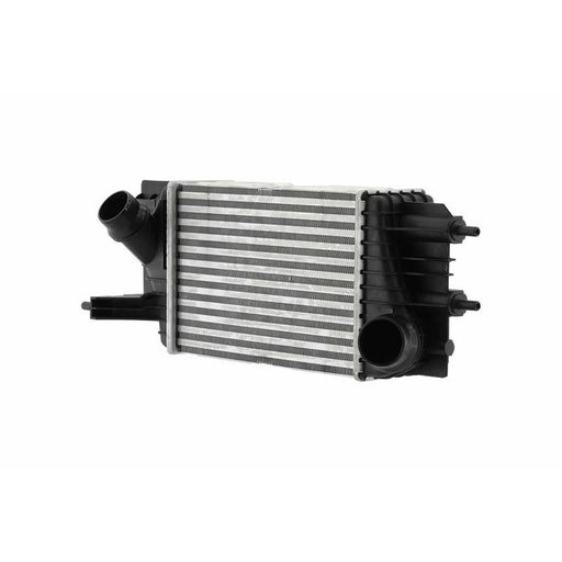 Hella Intercooler (Charge Air Cooler) 8ML 366 470-771