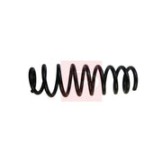 Apec Rear Suspension Coil Spring ACS1739