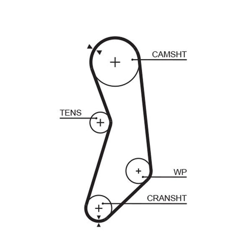 Gates Timing Belt Cambelt 110 Teeth 5319