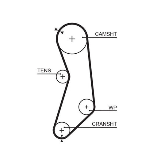 Gates Timing Belt Cambelt 110 Teeth 5319