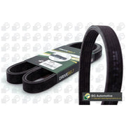 BGA Multi V-Ribbed Drive Belt 6DPK1215