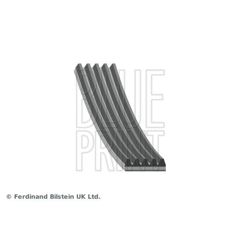 Blue Print Multi V-Ribbed Drive Belt AD05R1050