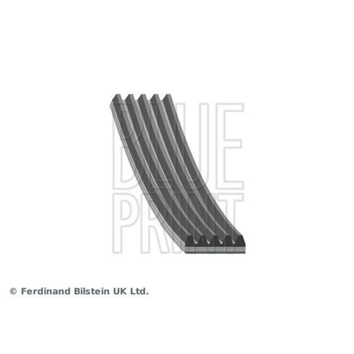 Blue Print Multi V-Ribbed Drive Belt AD05R1138